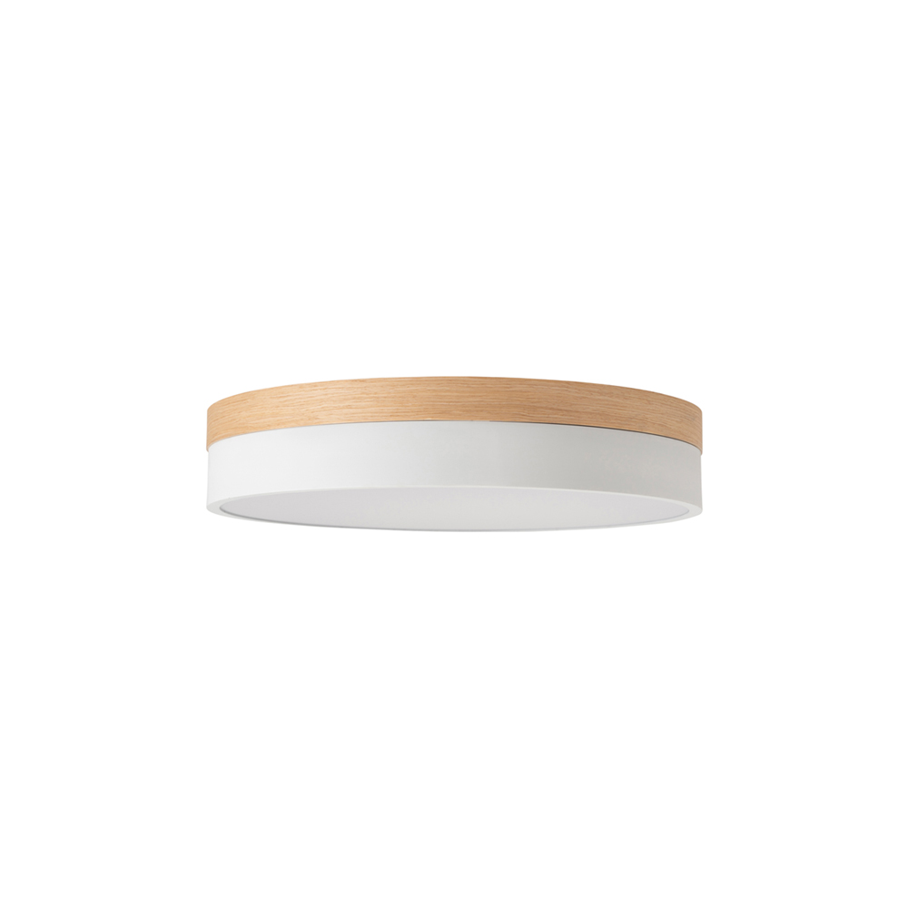 003371 Olika LED CEILING LIGHT Ver.2 | BRID